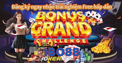 IBO88