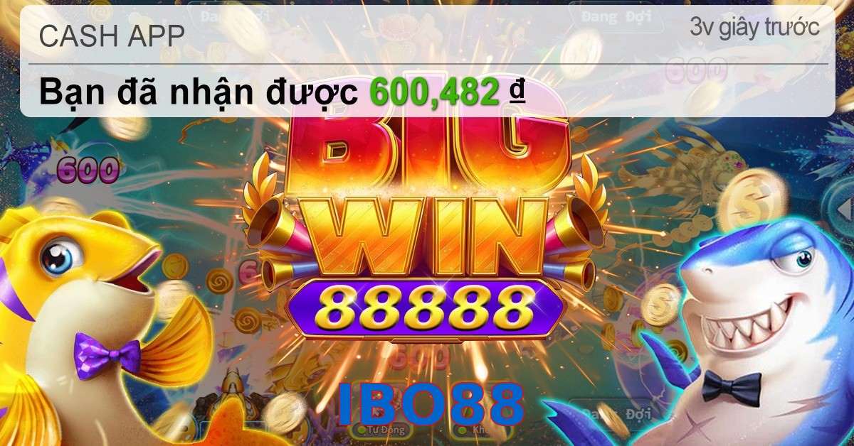 IBO88